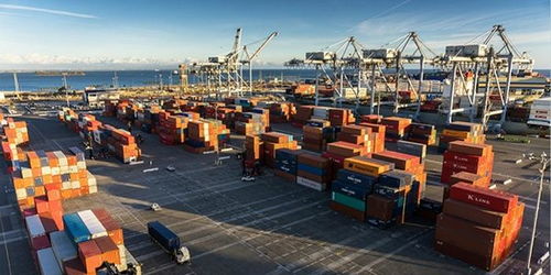 全球貿(mào)易受阻中的破冰之舉 阿里巴巴國際站“春雷計劃”與線上展會引領(lǐng)新航向